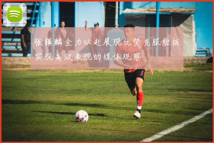 张镇麟全力以赴展现优势克服短板实现高效表现的媒体观察