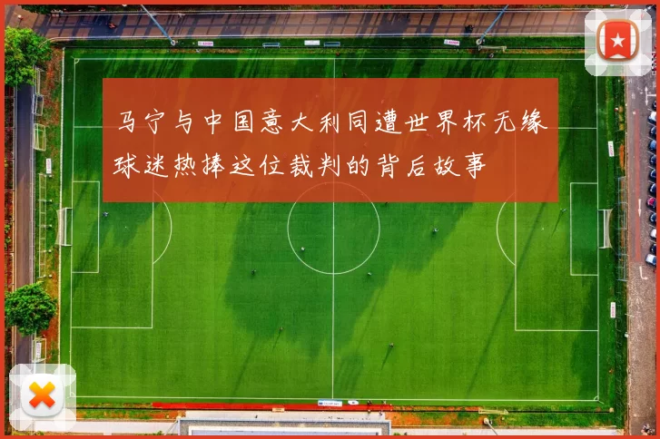 马宁与中国意大利同遭世界杯无缘球迷热捧这位裁判的背后故事
