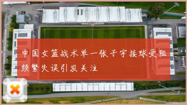 中国女篮战术单一张子宇接球受阻频繁失误引发关注